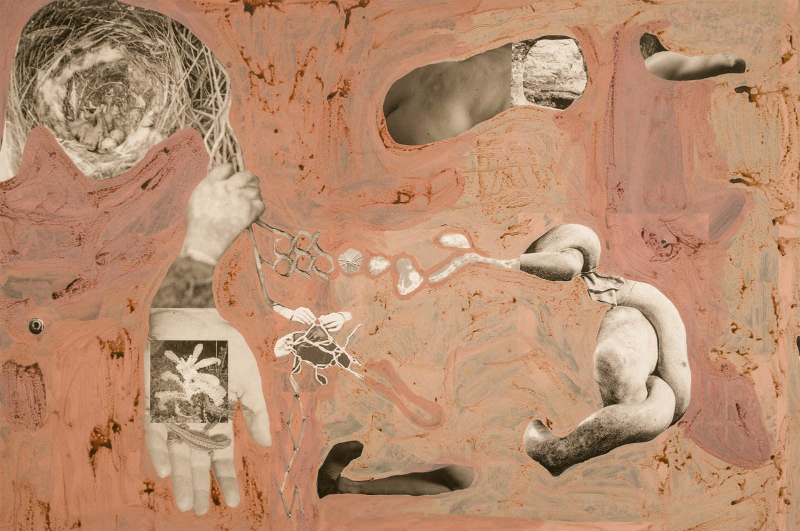 圖十二、《地勢 (關(guān)于時間，關(guān)于身體)》 (細(xì)節(jié)圖)，O?zlem Alt?n，2019